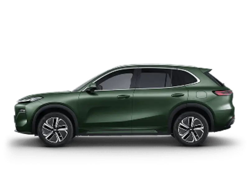 immagine veicolo nuovo GEELY Starray